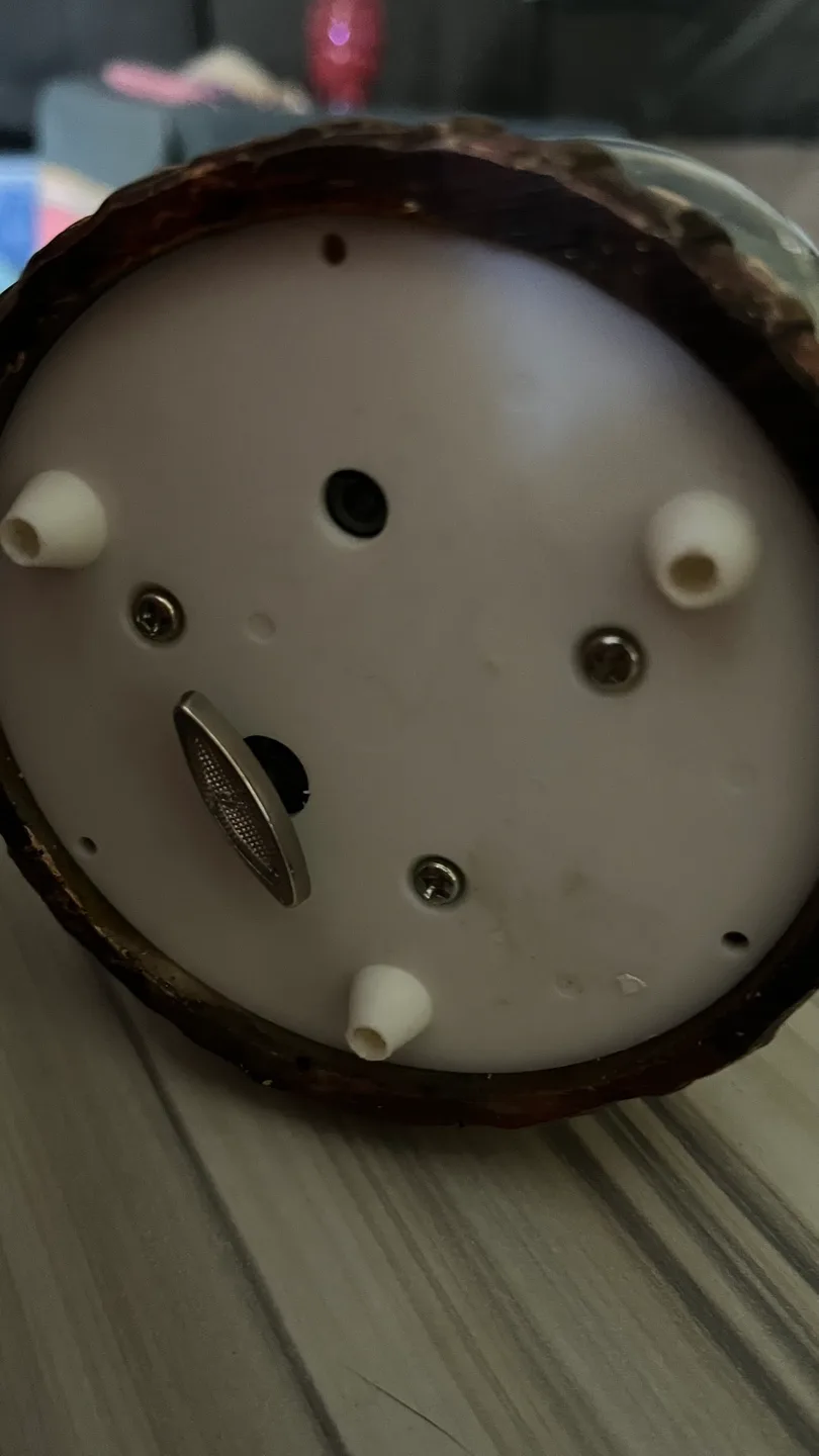 Musical Angel Snow Globe 🥕 image indicator(2)