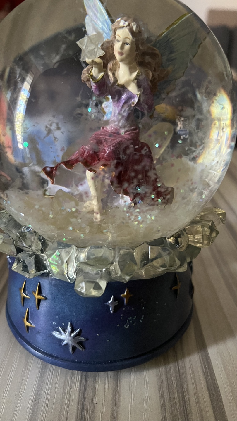Stardust Creations Musical Snow Globe 🥕