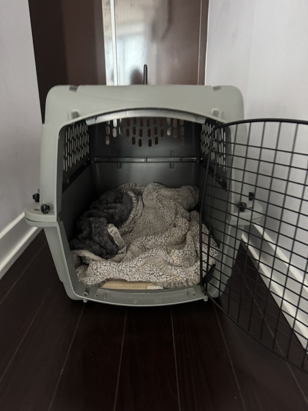 Pet Carrier Crate