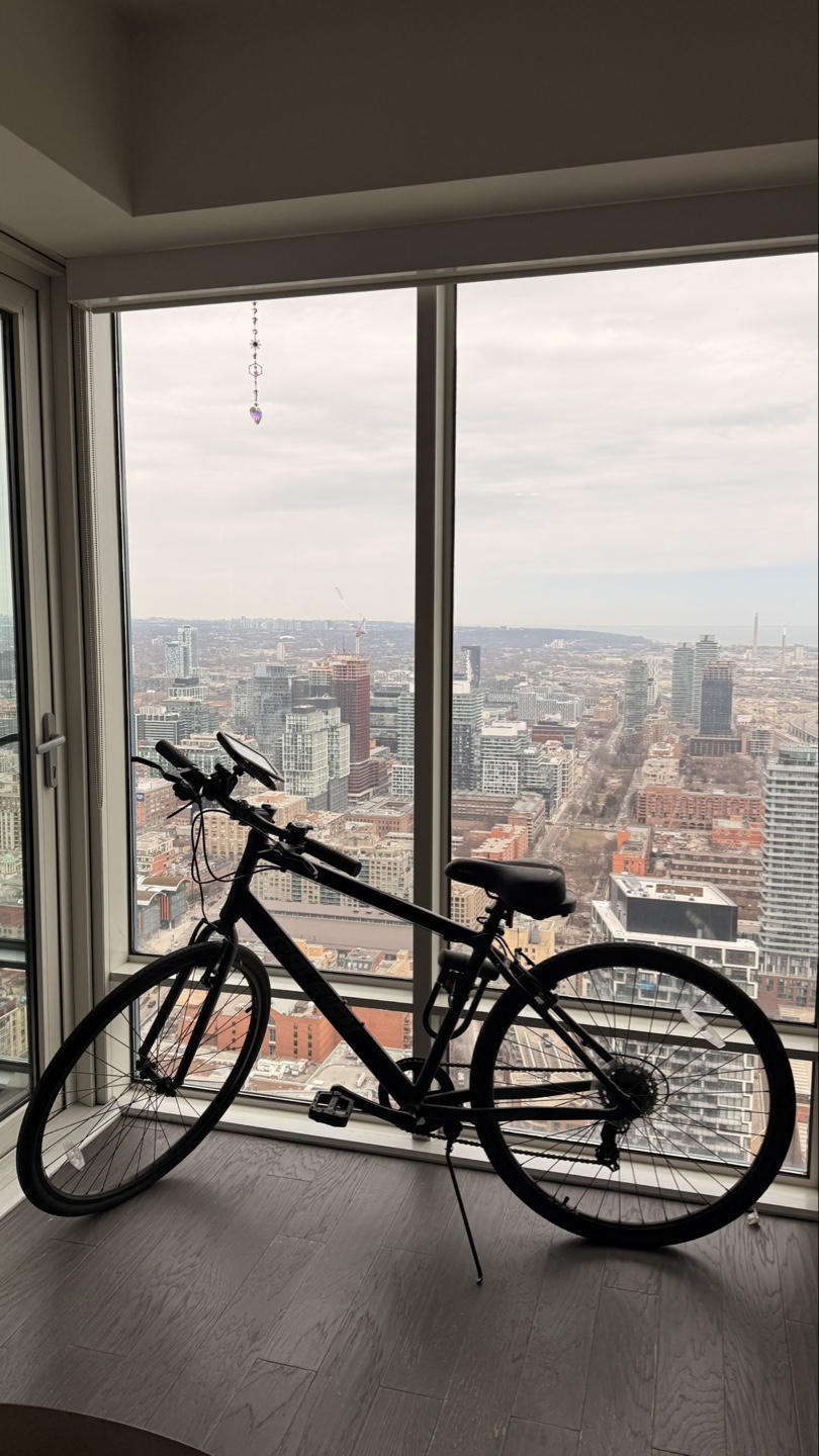 Raleigh Hybrid Bike +  | $400 (Worth $905+)
