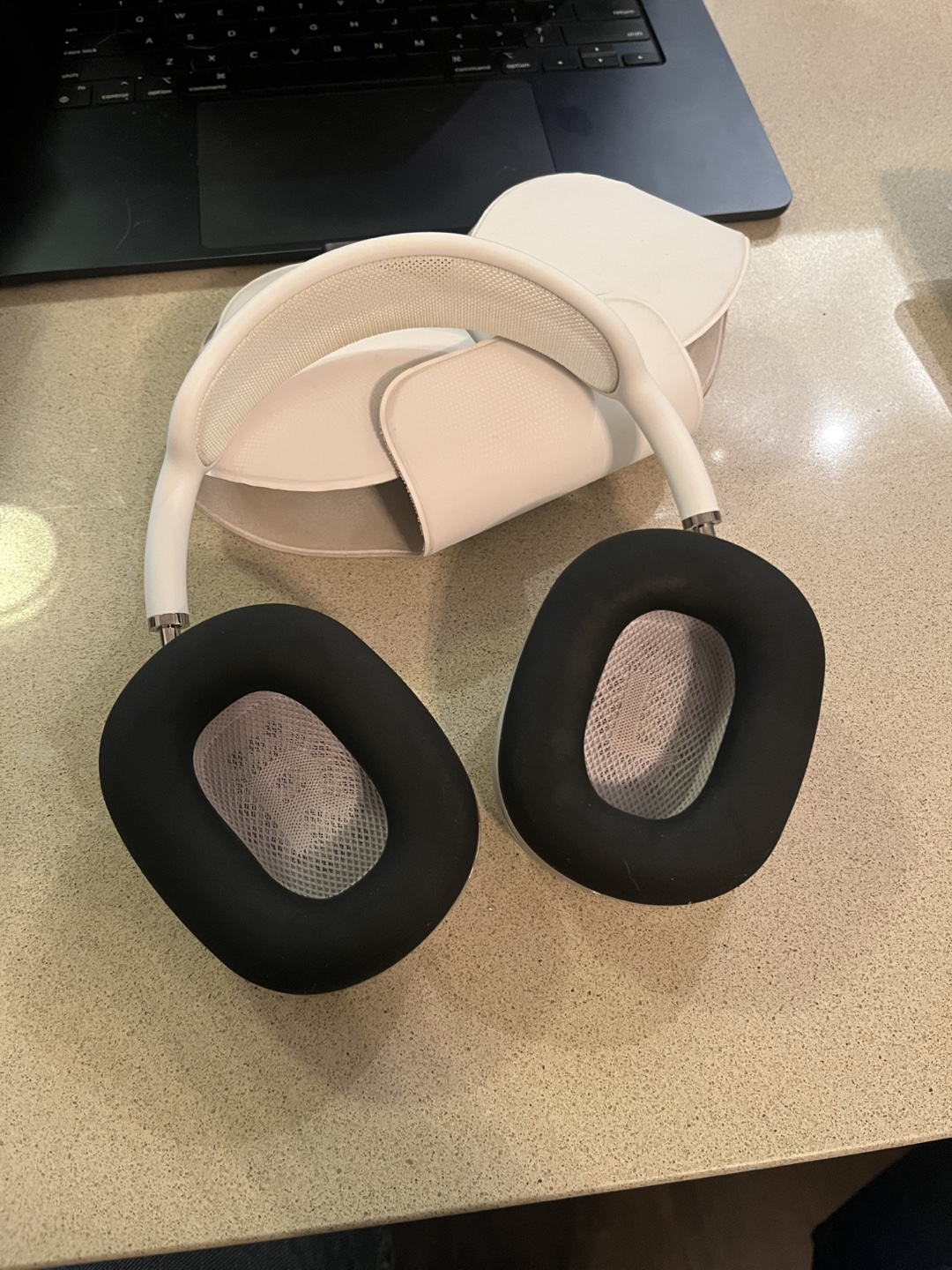 Apple AirPods Max Headphones with Case - Silver - photo 3