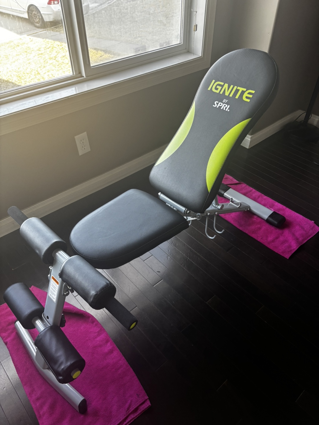 SPRIs Ignite Adjustable Weight Bench and Dumbbell Set - photo 2