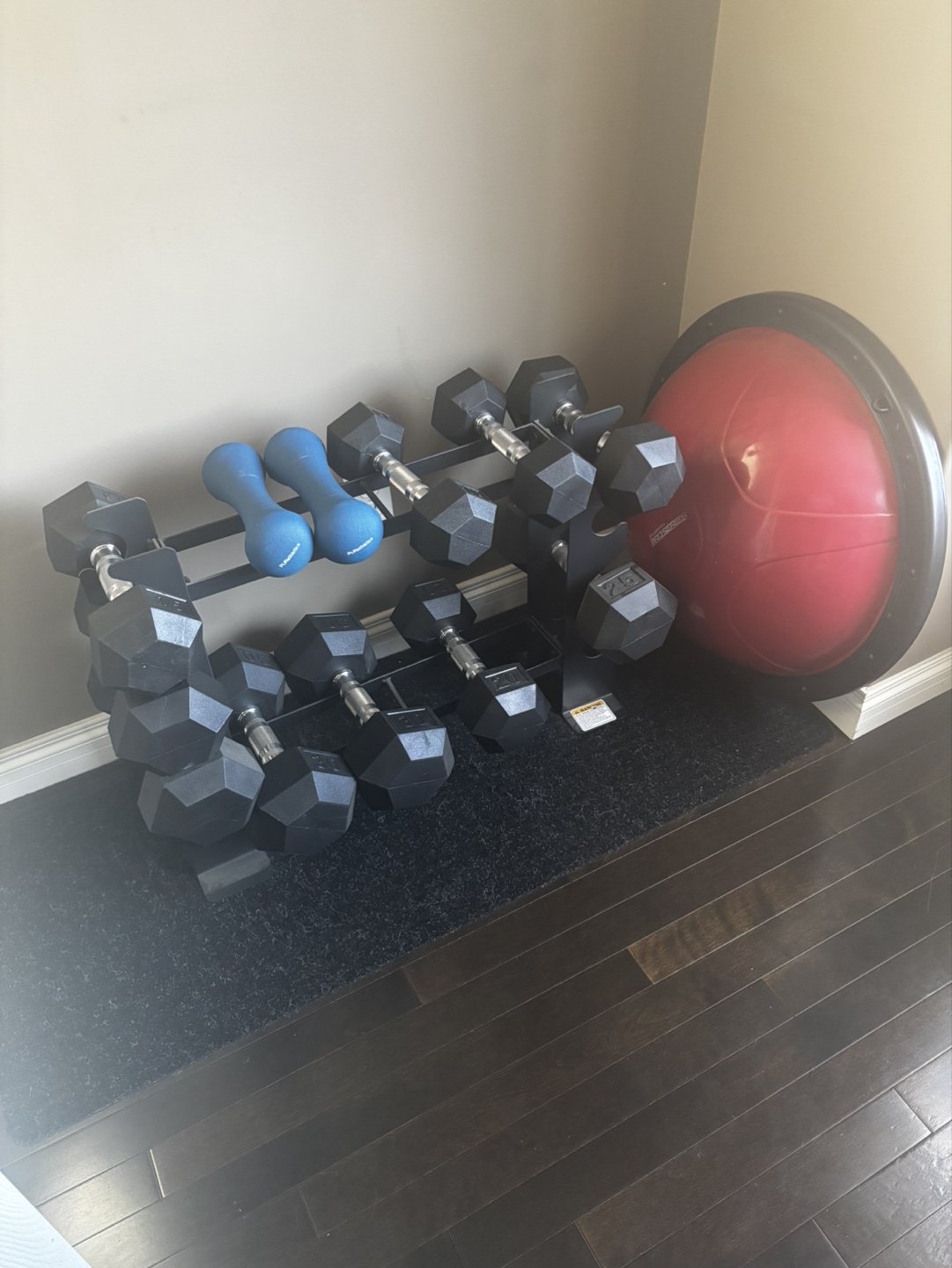 SPRIs Ignite Adjustable Weight Bench and Dumbbell Set