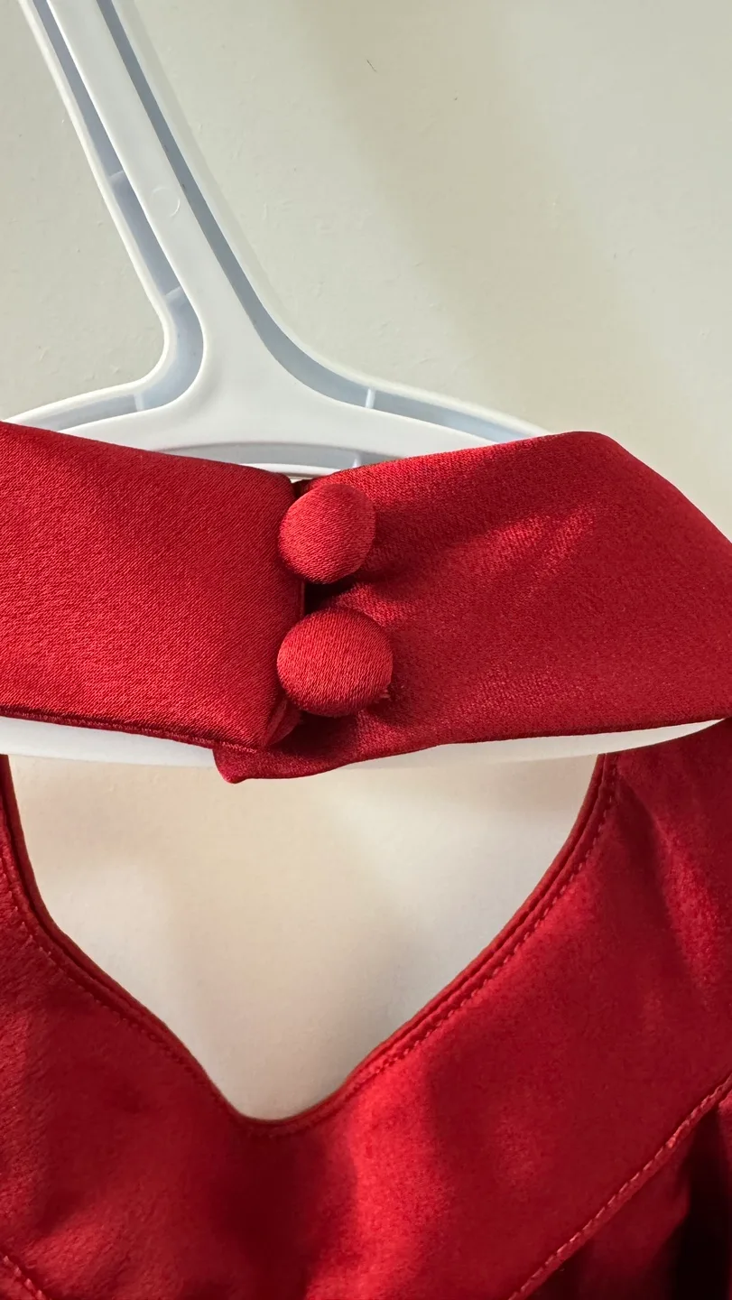 🥕 Abercrombie & Fitch Red Halter Dress image indicator(4)