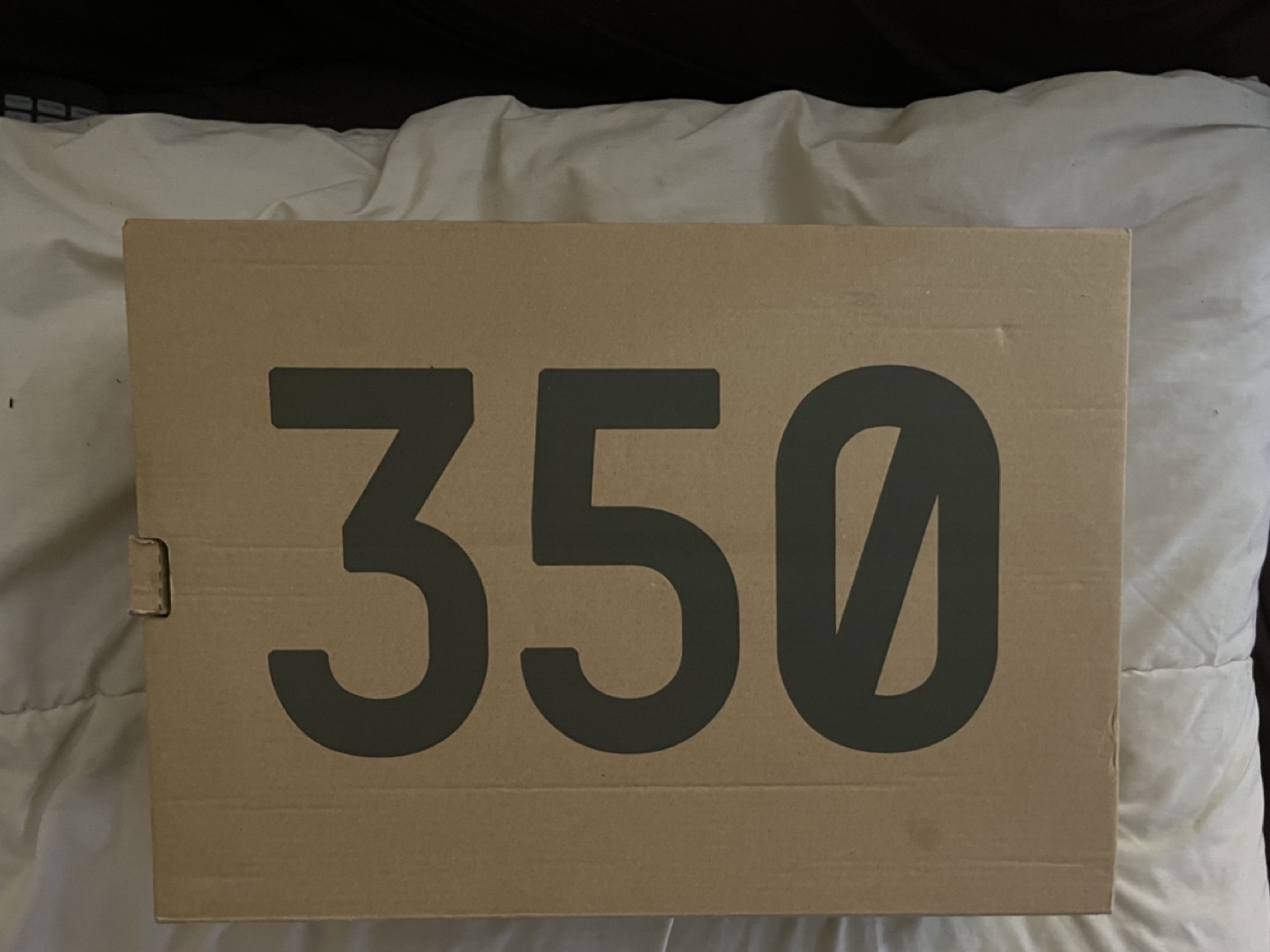 Adidas Yeezy Boost 350 V2 Bone White Size 12.5 - photo 4