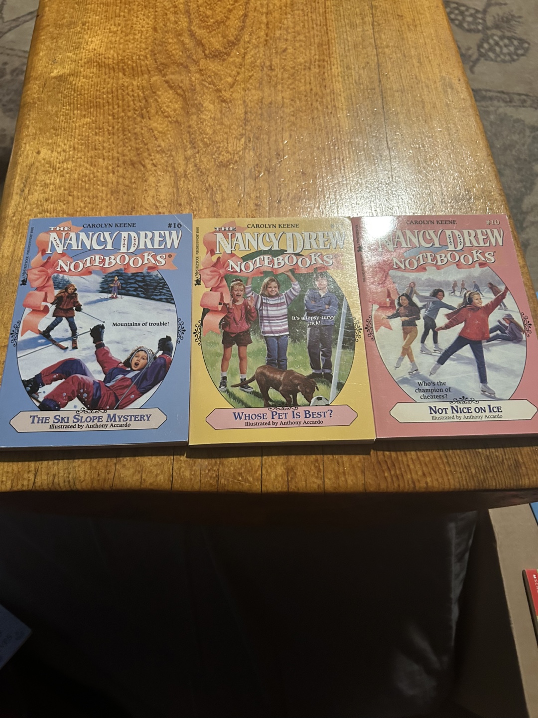 Lot of 20 Children's Chapter Books - photo 2