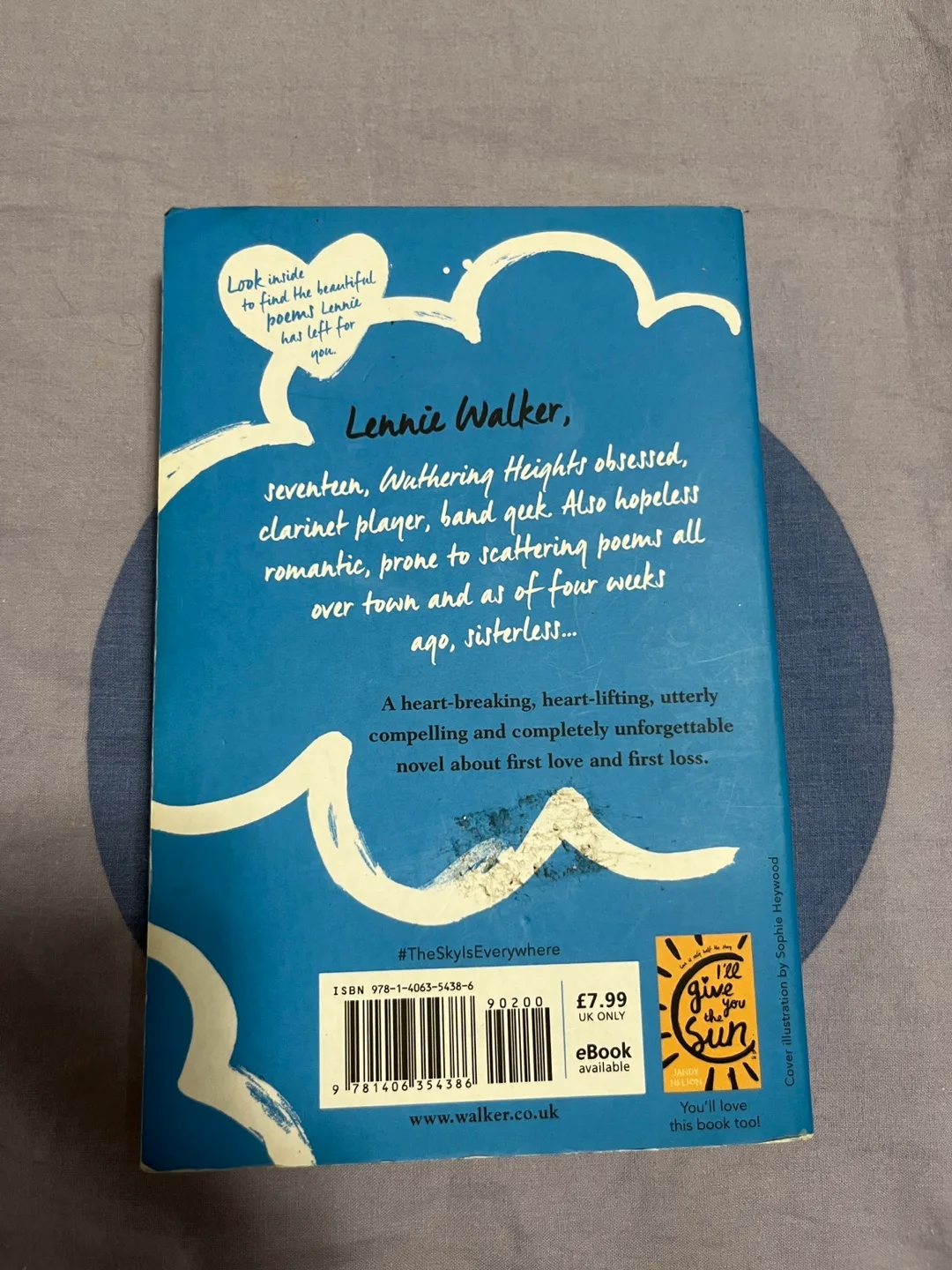 The Sky is Everywhere by Jandy Nelson image indicator(2)