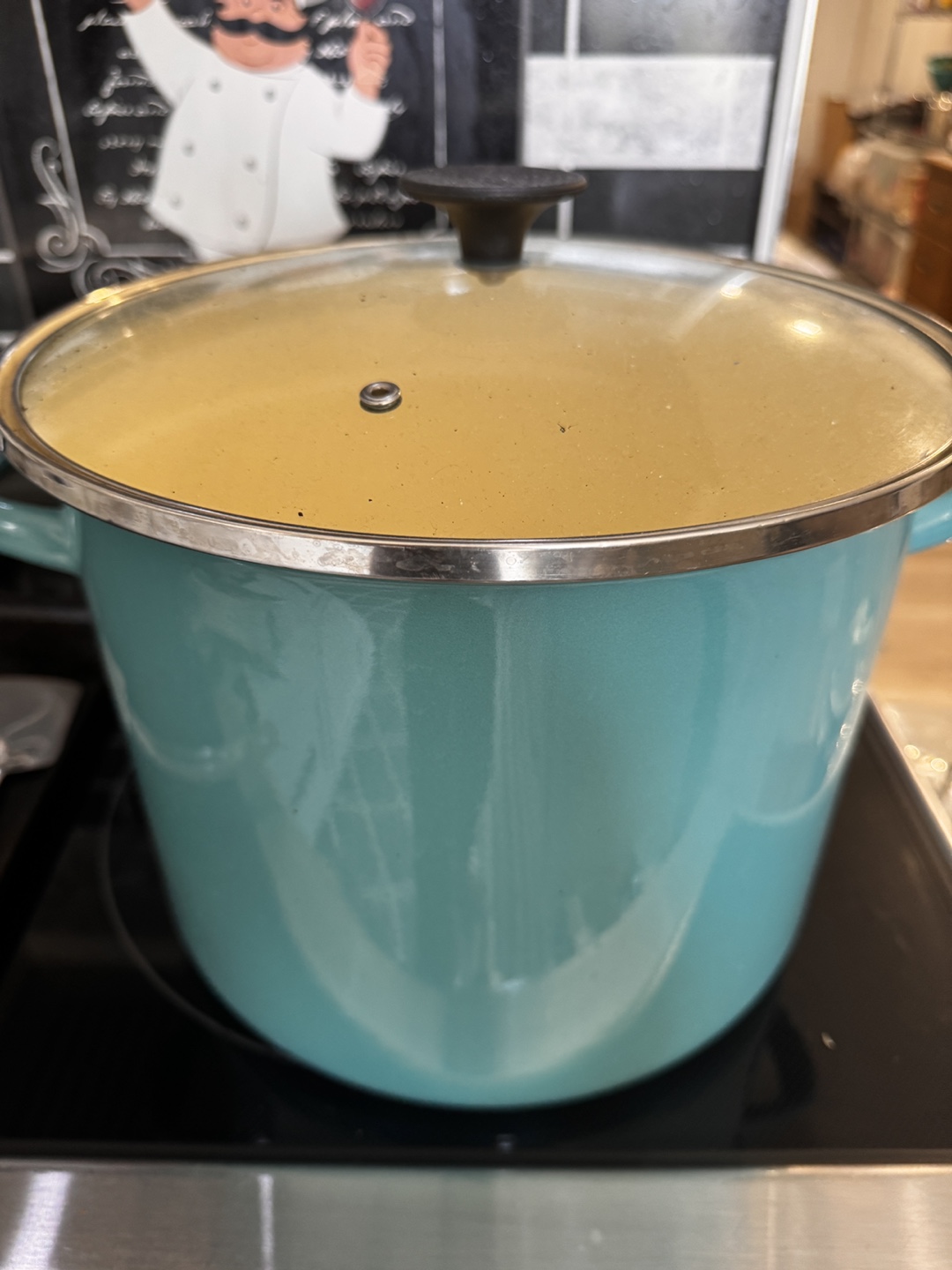 Large Turquoise Enamel Stock Pot with Lid