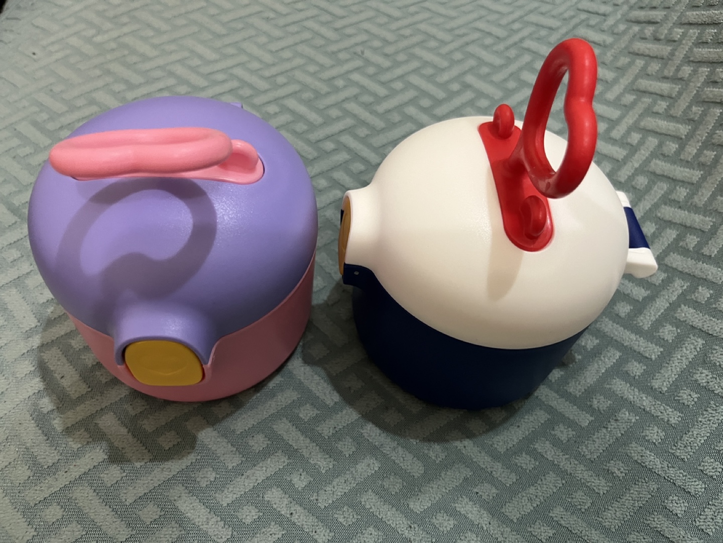 Baby Formula Dispensers with Scoops