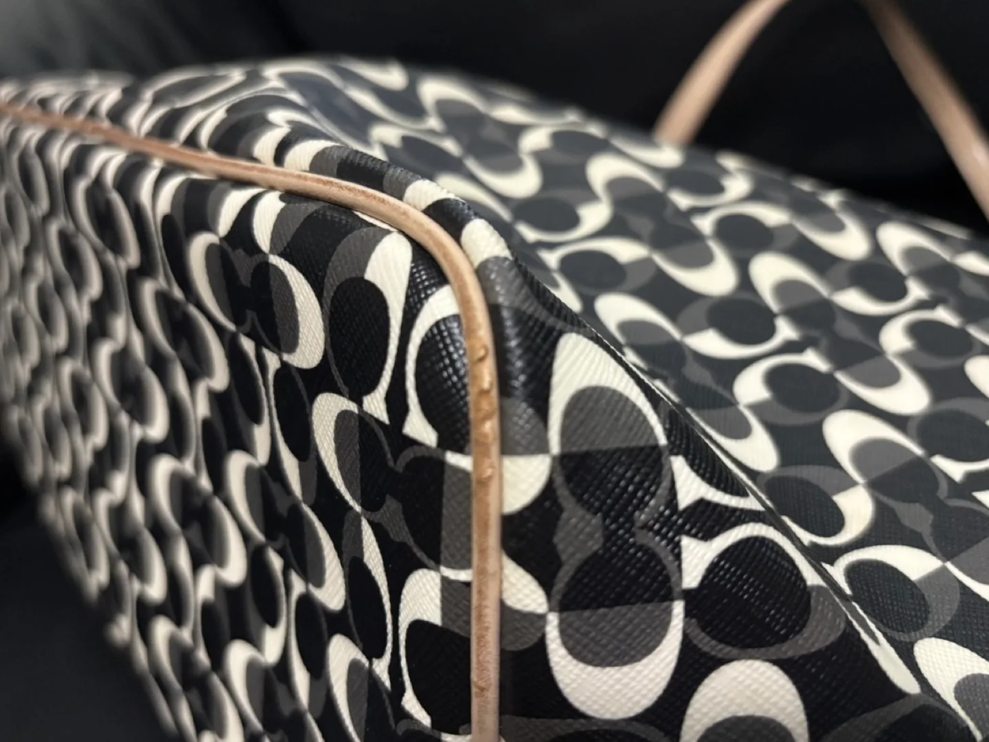 Coach Signature Tote Bag - Black and White image indicator(5)