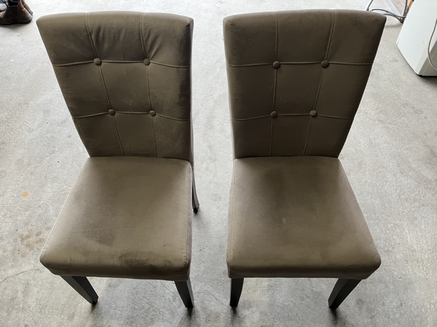 Pair of Beige Velvet Dining Chairs with Dark Brown Legs