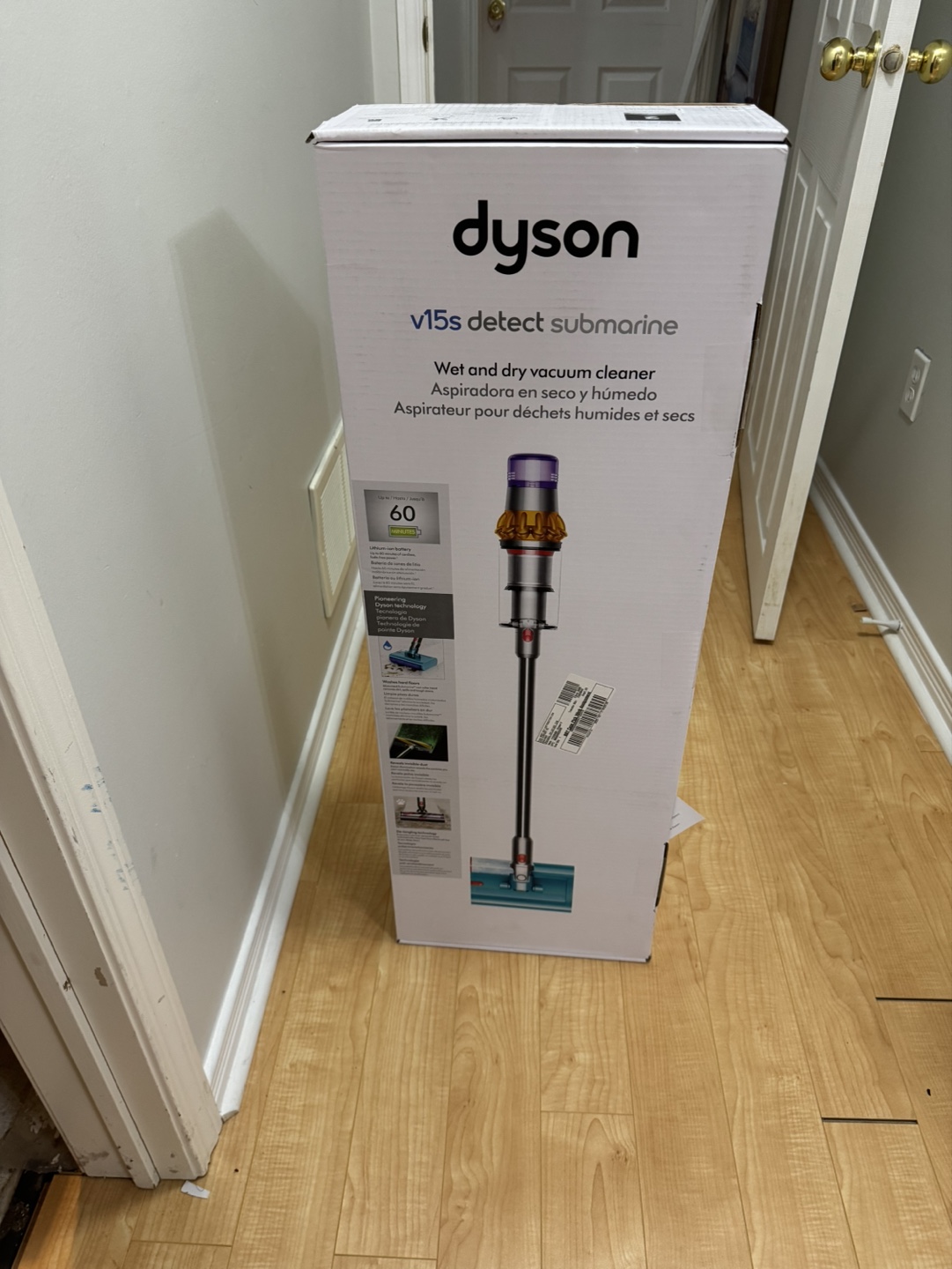 Dyson wet and dry