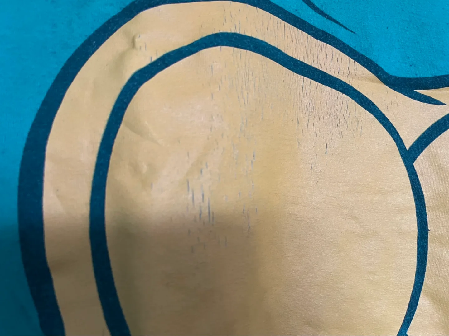 Teenage Mutant Ninja Turtles Graphic Tee image indicator(5)