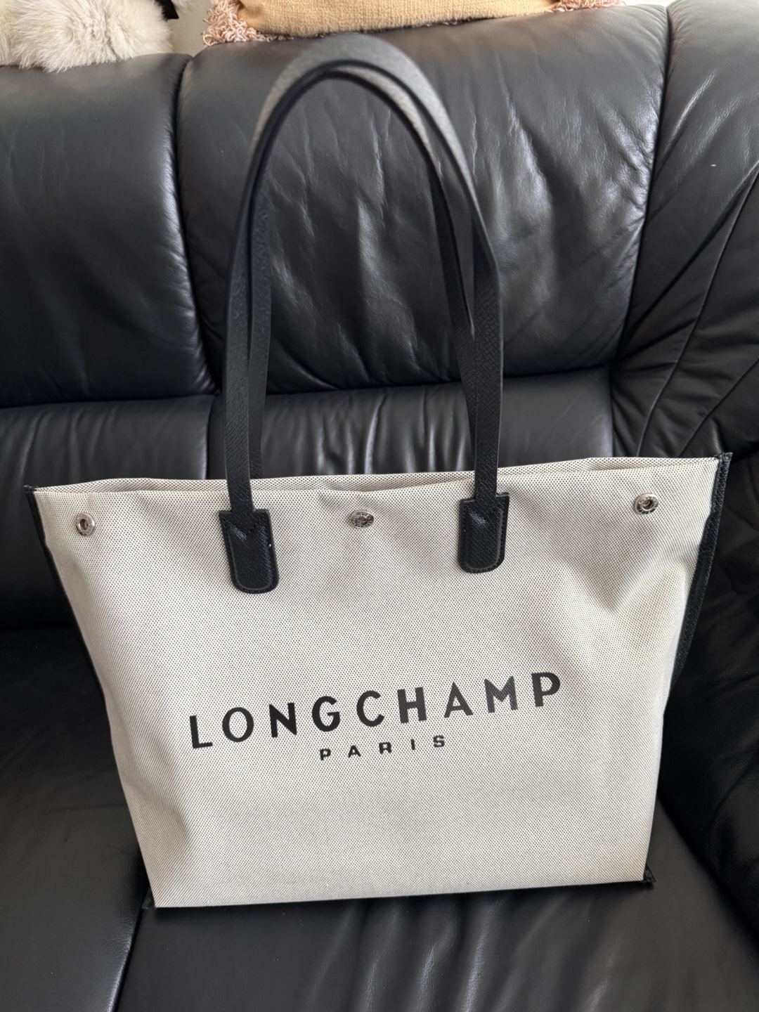 Longchamp Paris Tote Bag