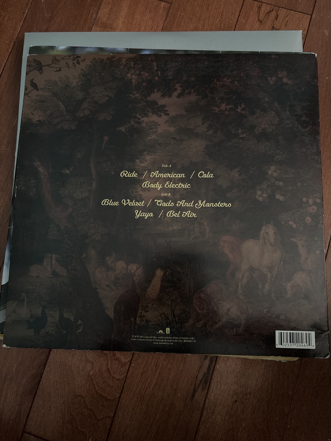 Lana Del Rey - Paradise - Vinyl Record - photo 2