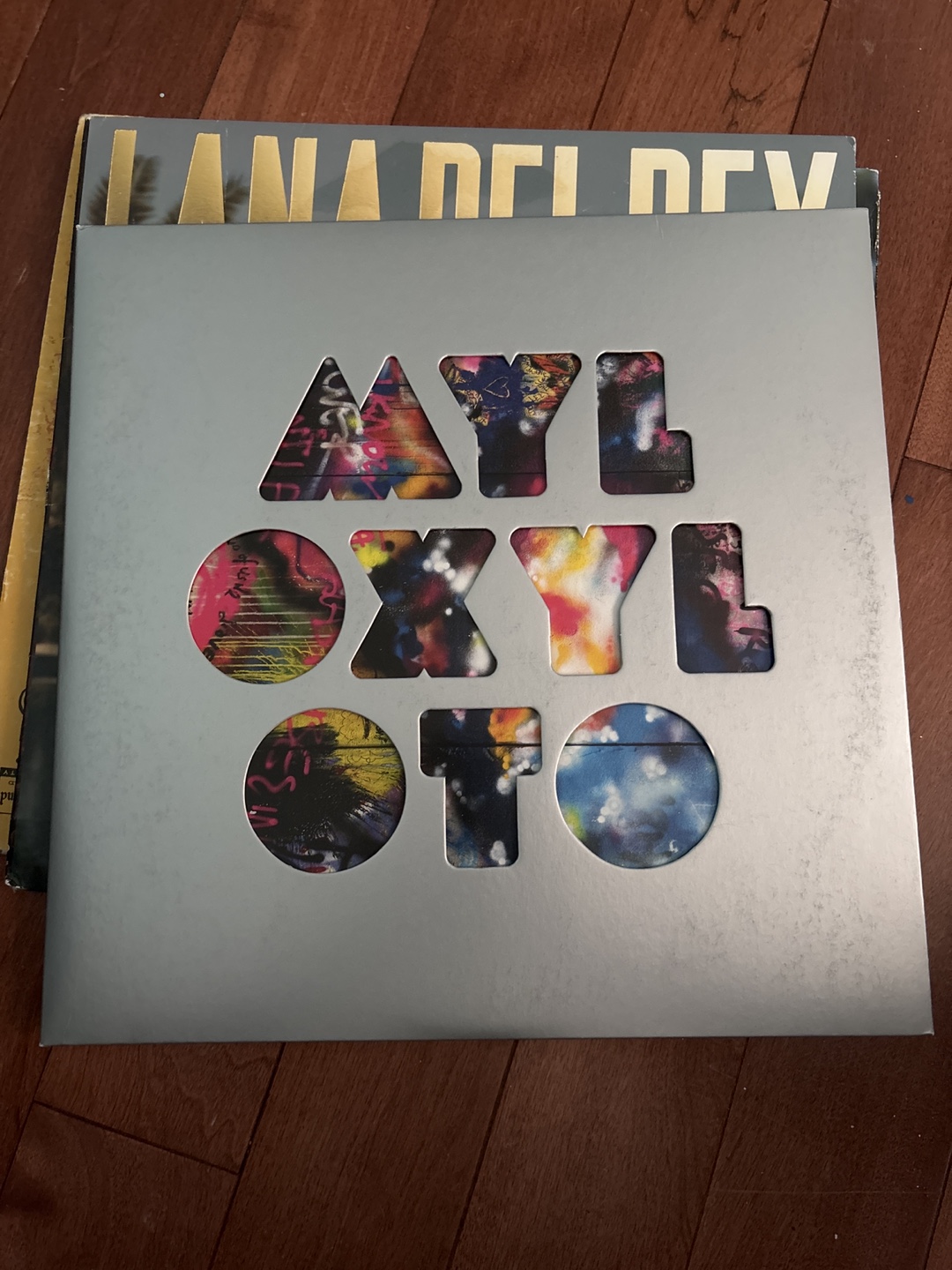 Lana Del Rey - My Love Is a Hurricane Vinyl Record