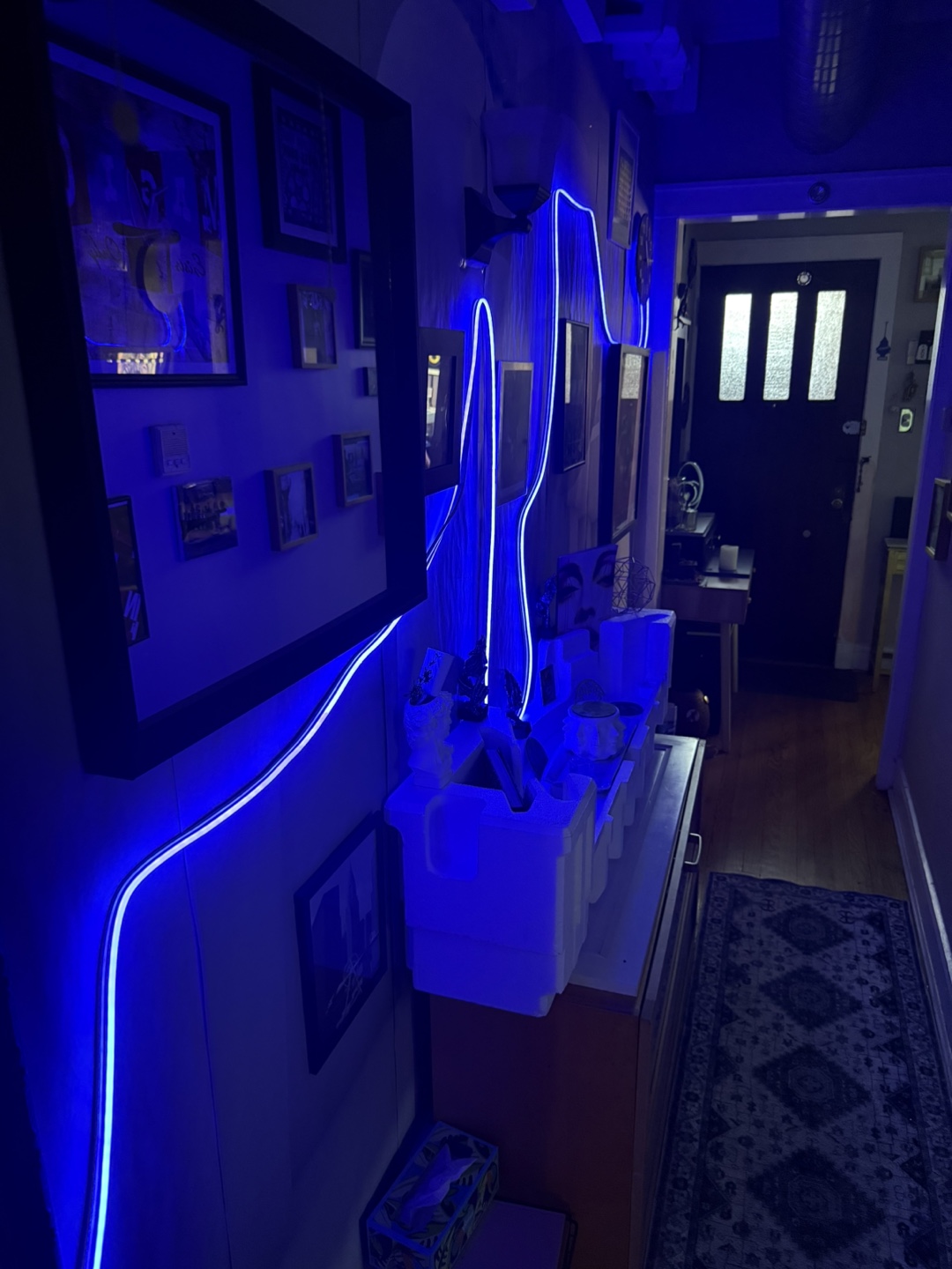 Neon Rope Lights - Flexible LED Strip Lighting