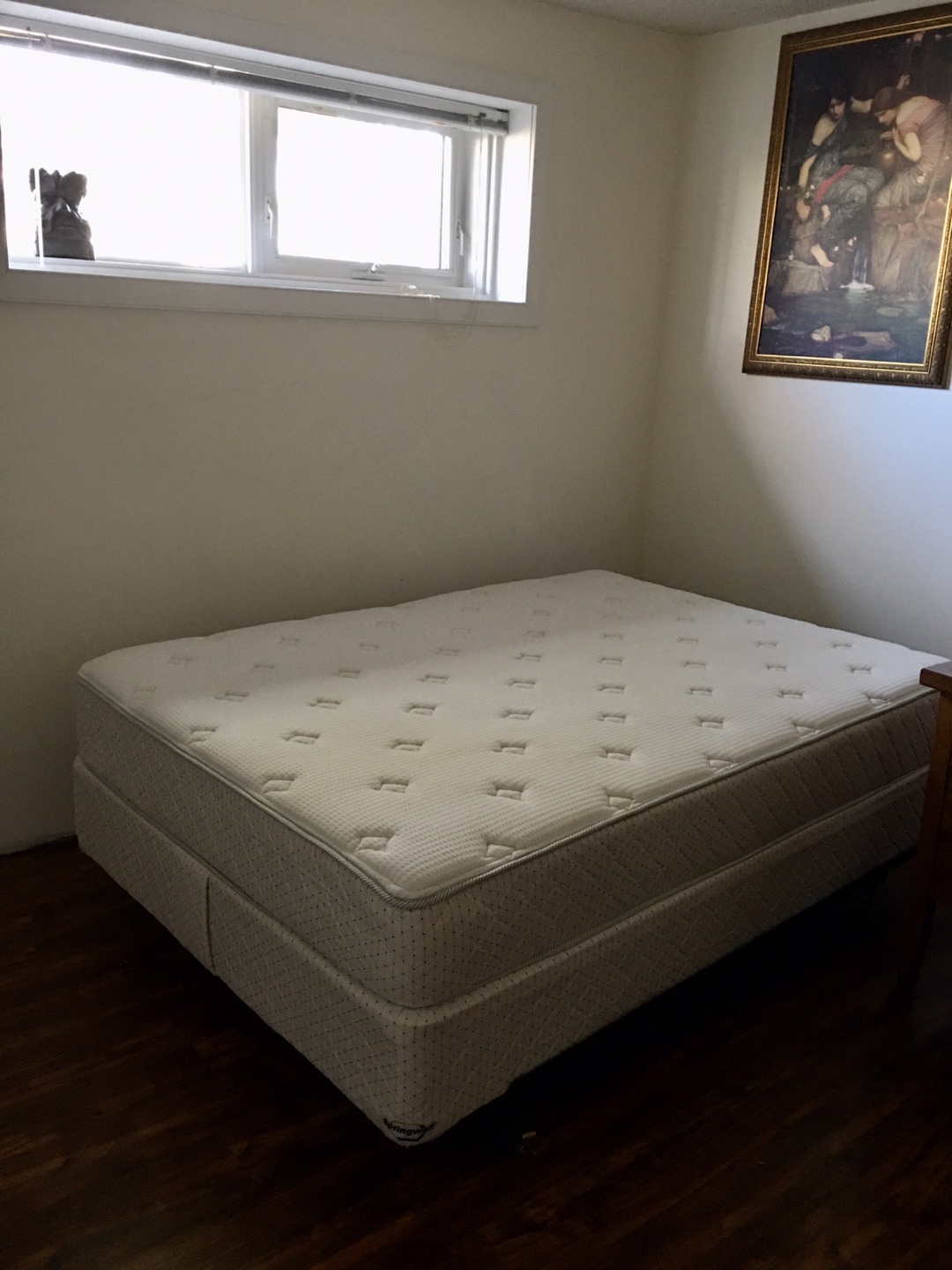 Double/Full Mattress and Box Spring Set