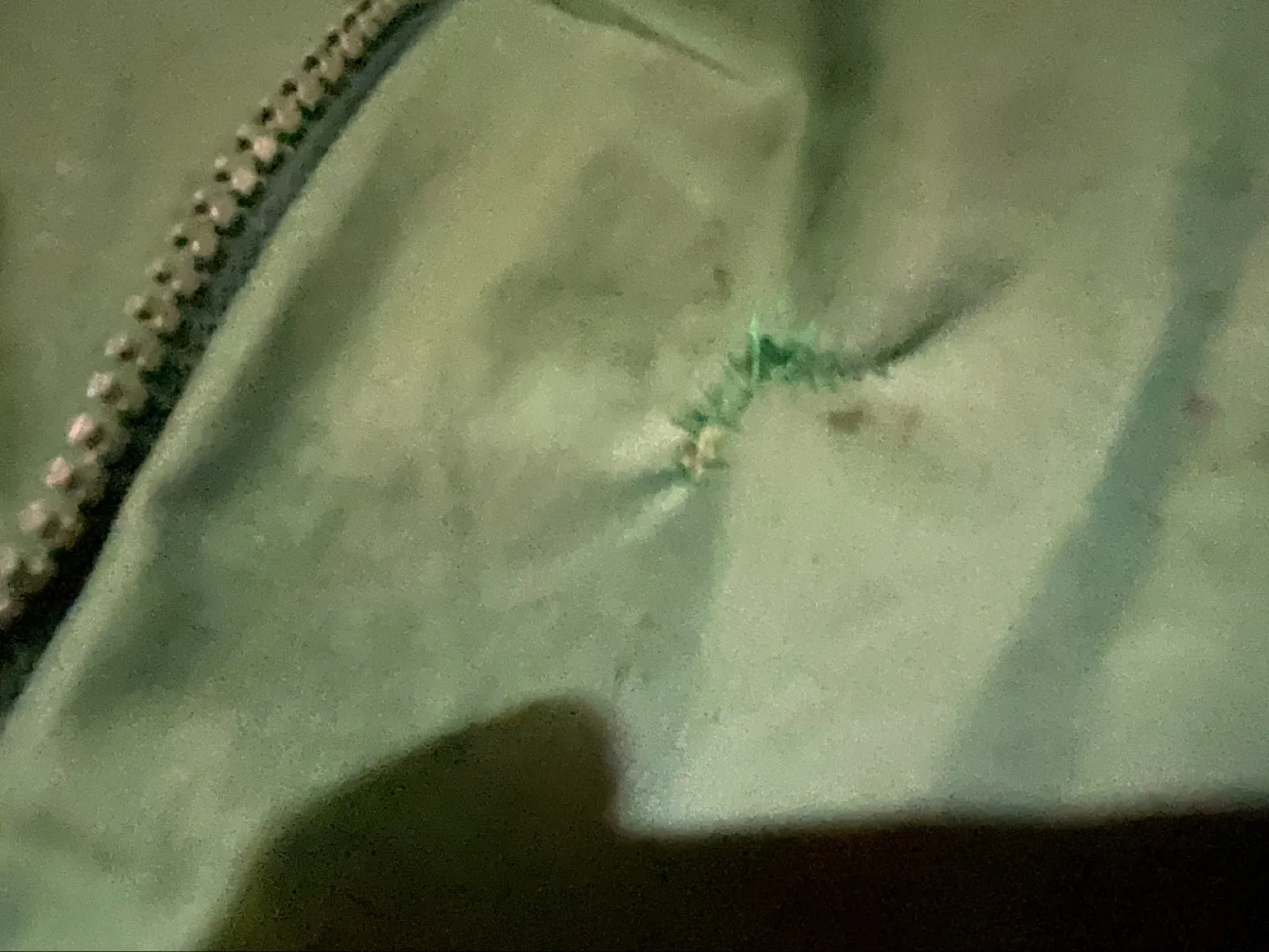 💚Discovery Bay Adventure Wear Reversible Puffer Jacket - XL/TG image indicator(7)