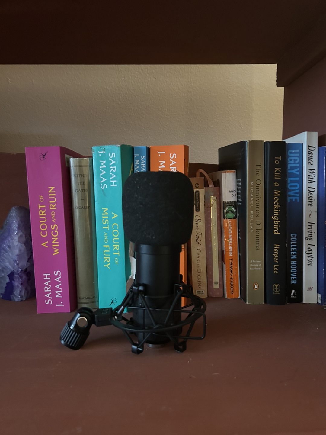 Black Condenser Microphone with Shock Mount