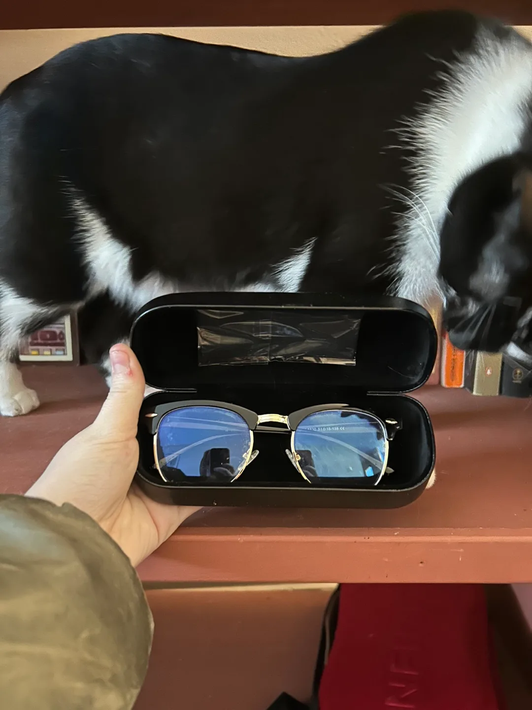 Blue Light Glasses comes with Coach Case image indicator(2)