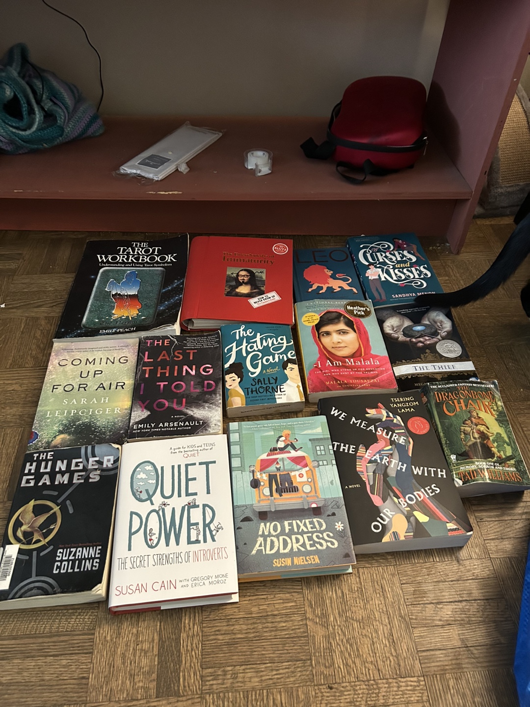 Young Adult Book Lot