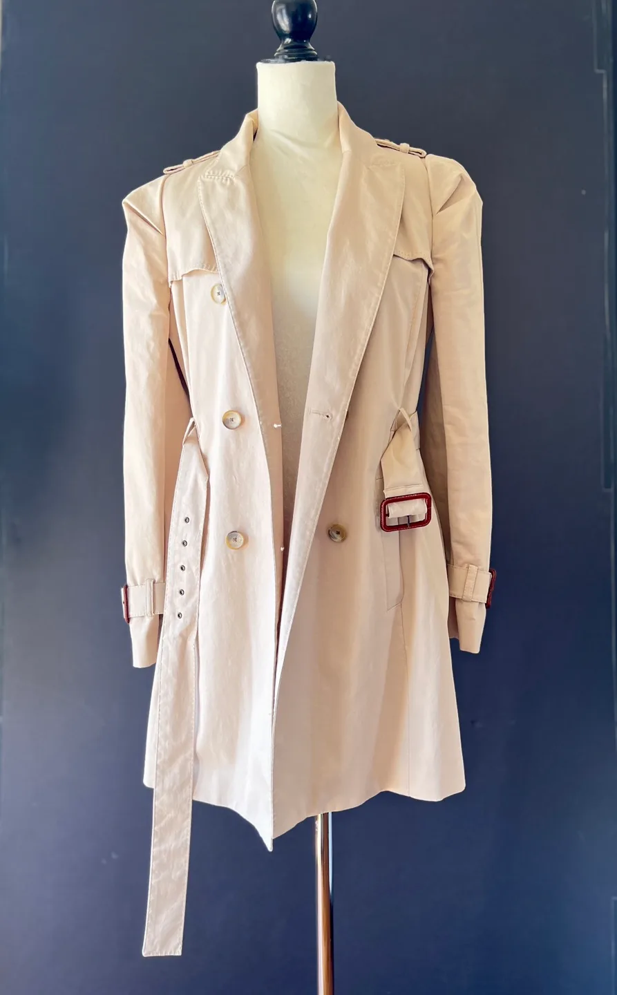 Beige Trench Coat with Puff Sleeves image indicator(4)