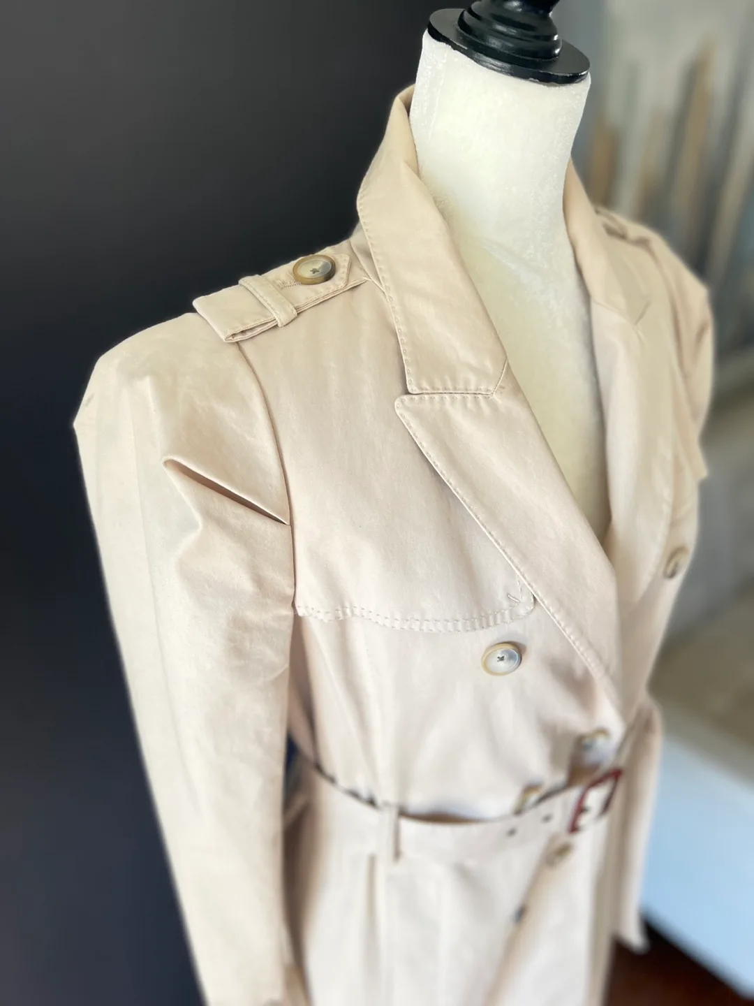 Beige Trench Coat with Puff Sleeves image indicator(3)