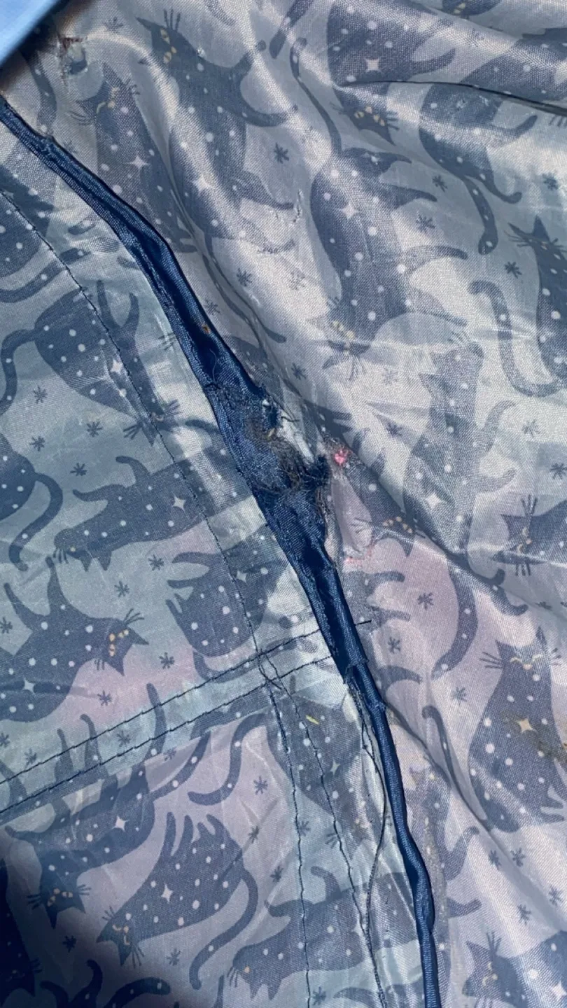 Whisker City Cat Tunnel image indicator(2)