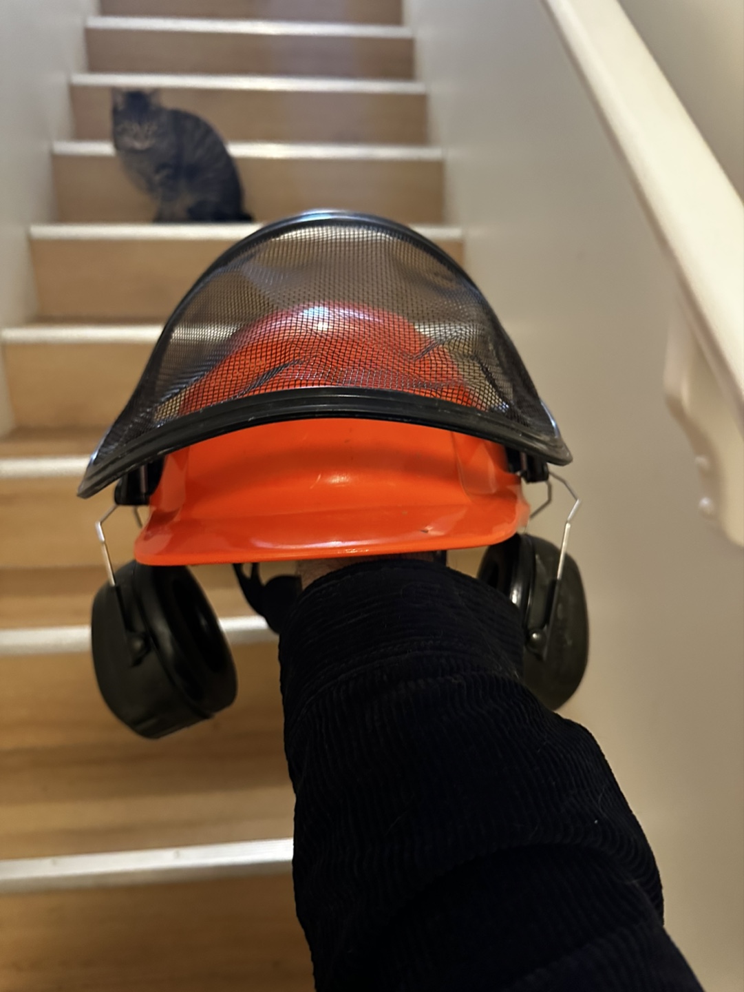 Hard Hat with Face Shield and Hearing Protection - photo 2