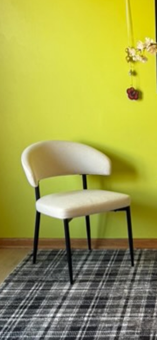 🥕 Modern Accent Chair