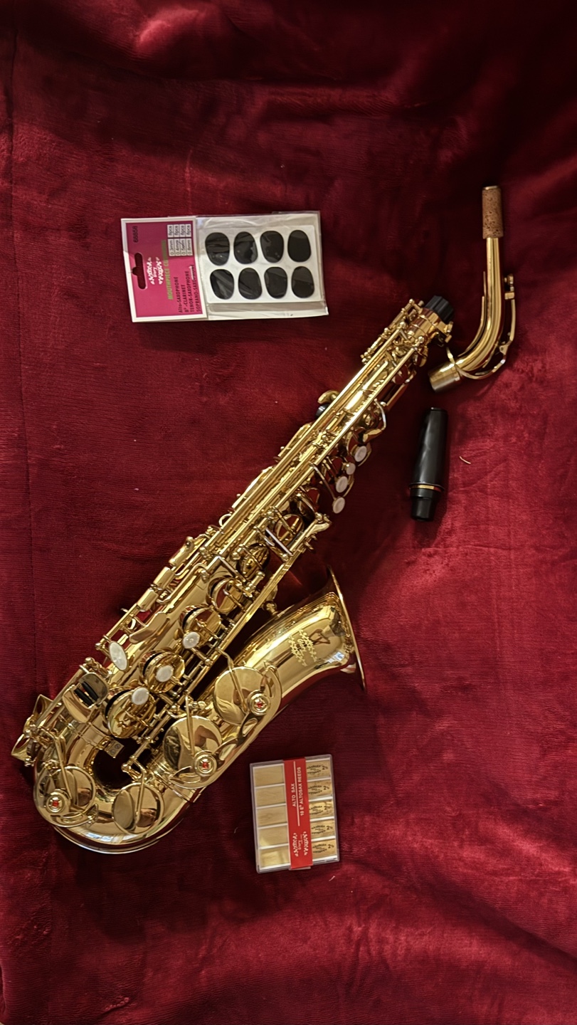Gold Lacquer Alto Saxophone with Case and Accessories - photo 2