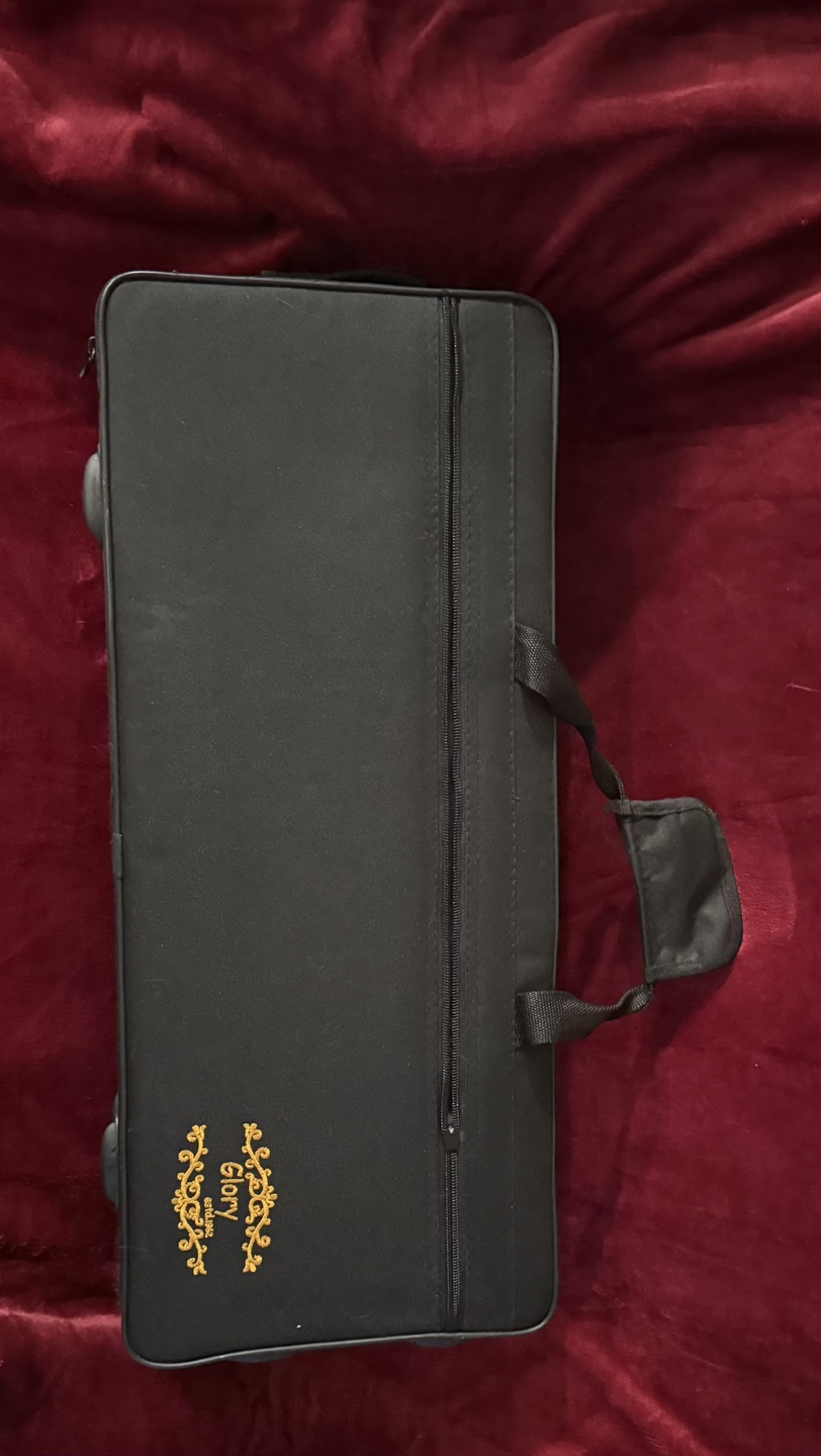 Gold Lacquer Alto Saxophone with Case and Accessories - photo 3