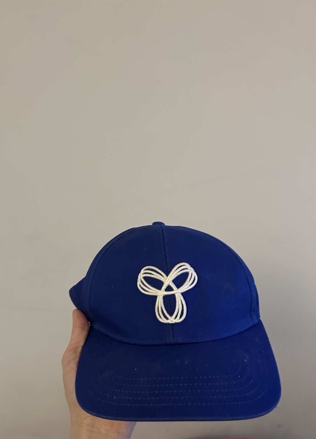 Aritzia (TNA) Blue and White Cap