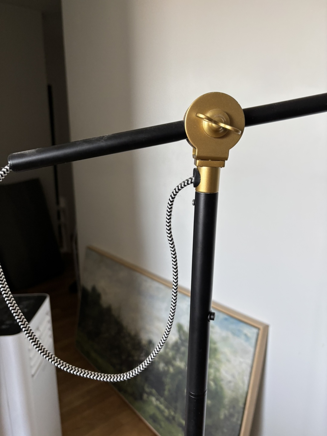 Black and Gold Floor Lamp - photo 3
