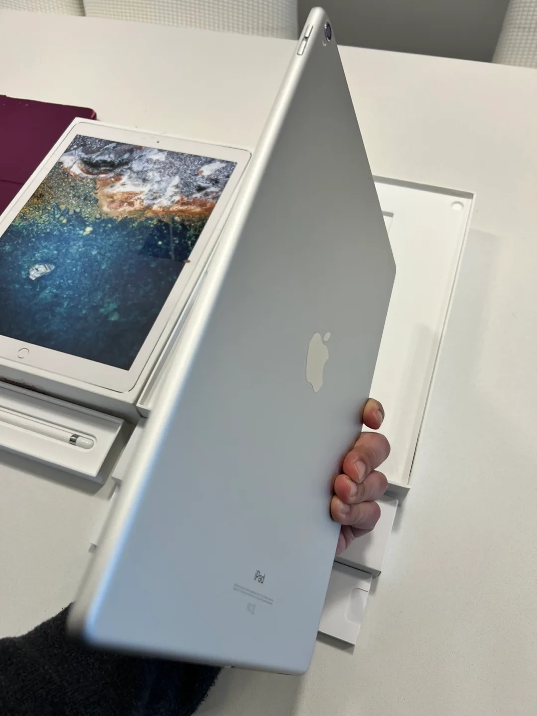 iPad Pro 12.9-inch (2nd generation) 256GB - Silver + Accessories image indicator(6)