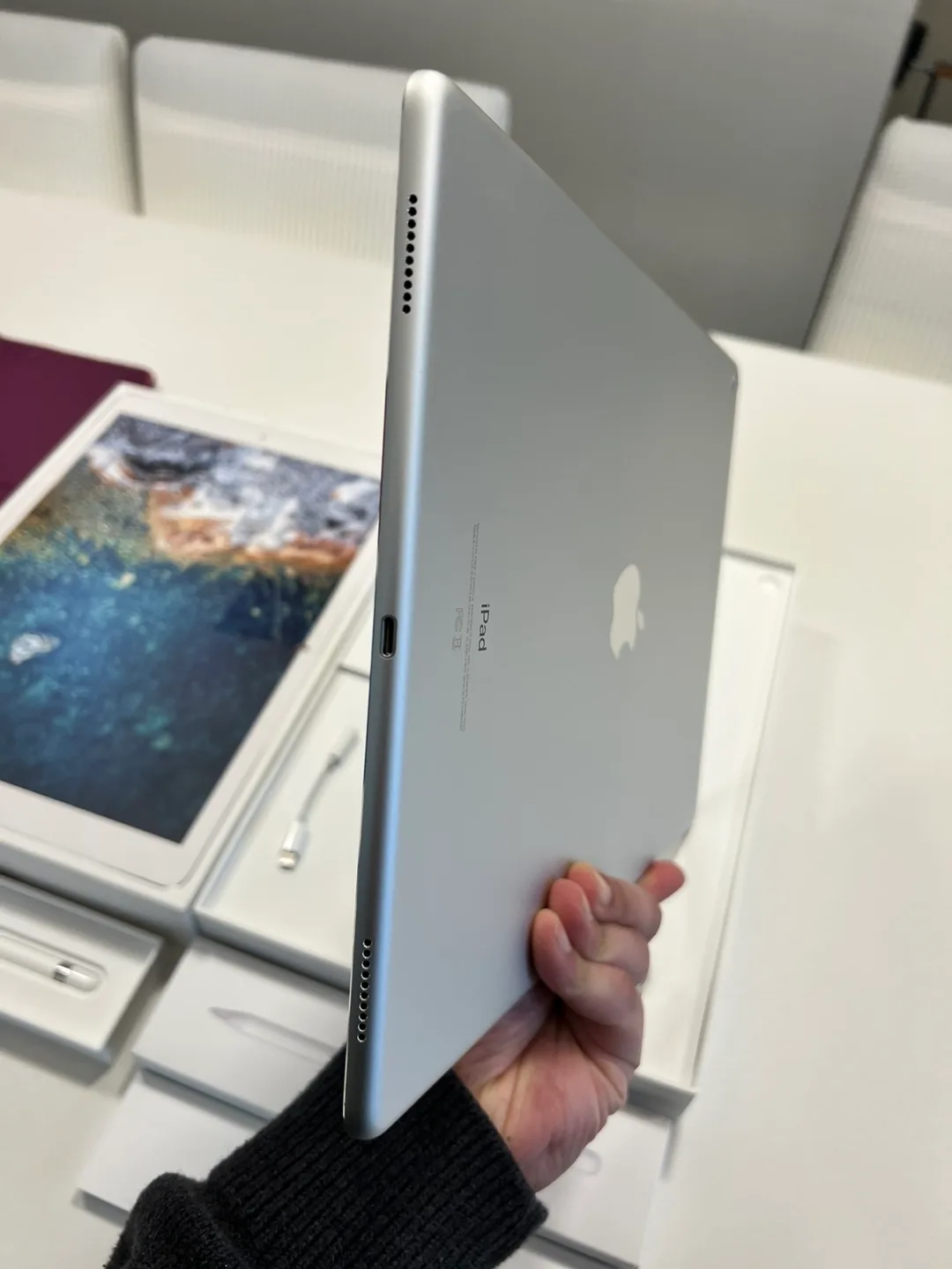 iPad Pro 12.9-inch (2nd generation) 256GB - Silver + Accessories image indicator(7)