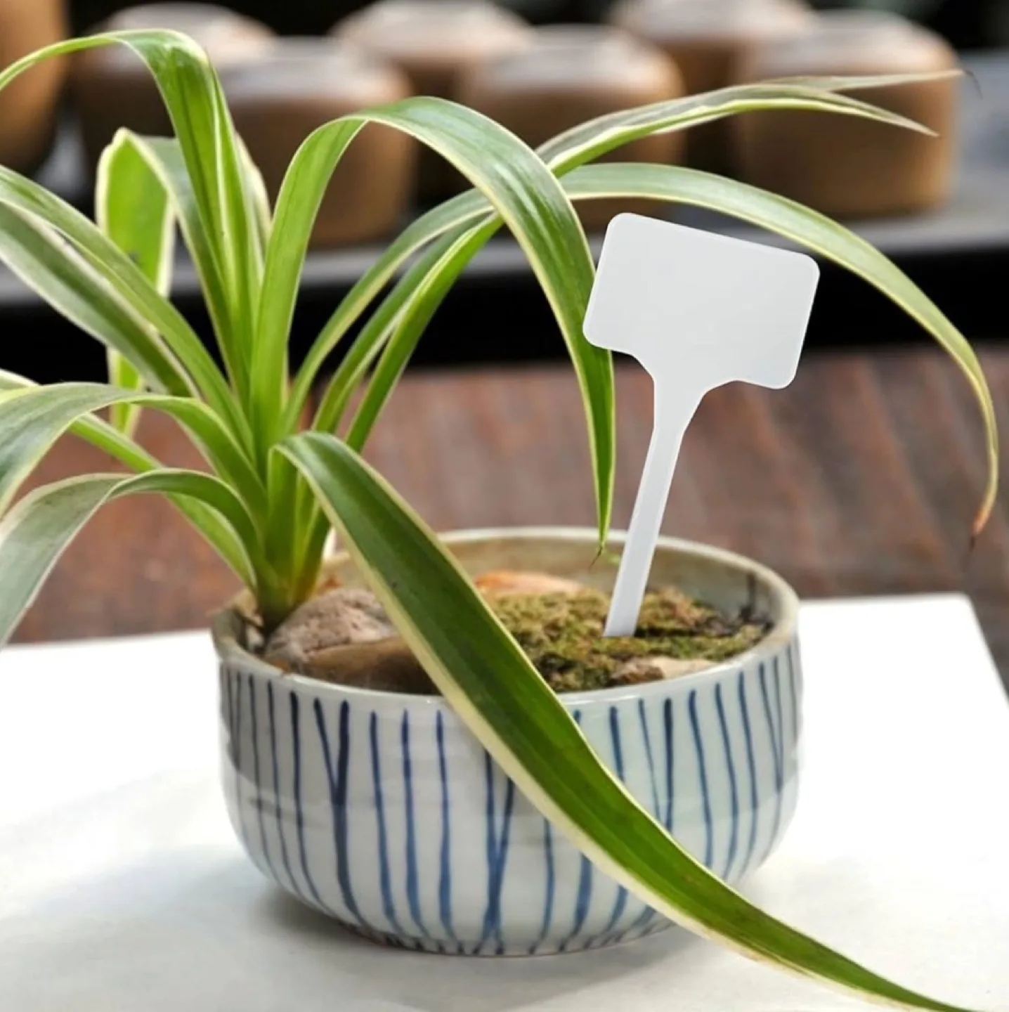 🪴 Brand New Expert Gardener 10 Reusable Garden Plant Labels image indicator(5)