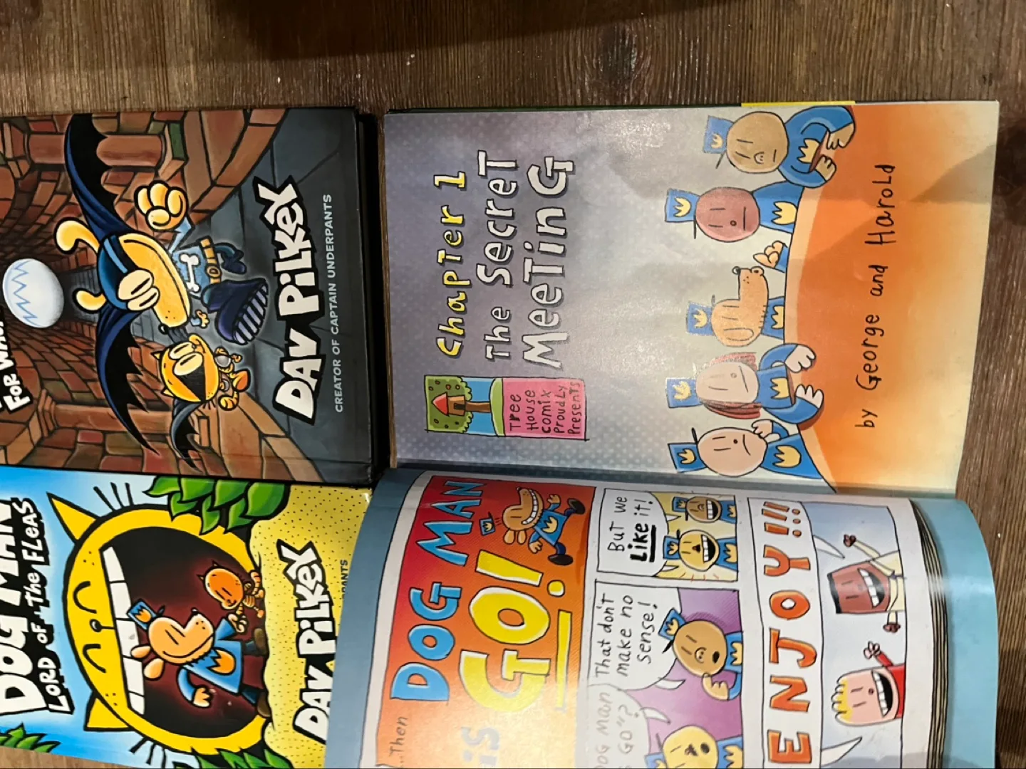 Dog Man Books 1-4 image indicator(4)
