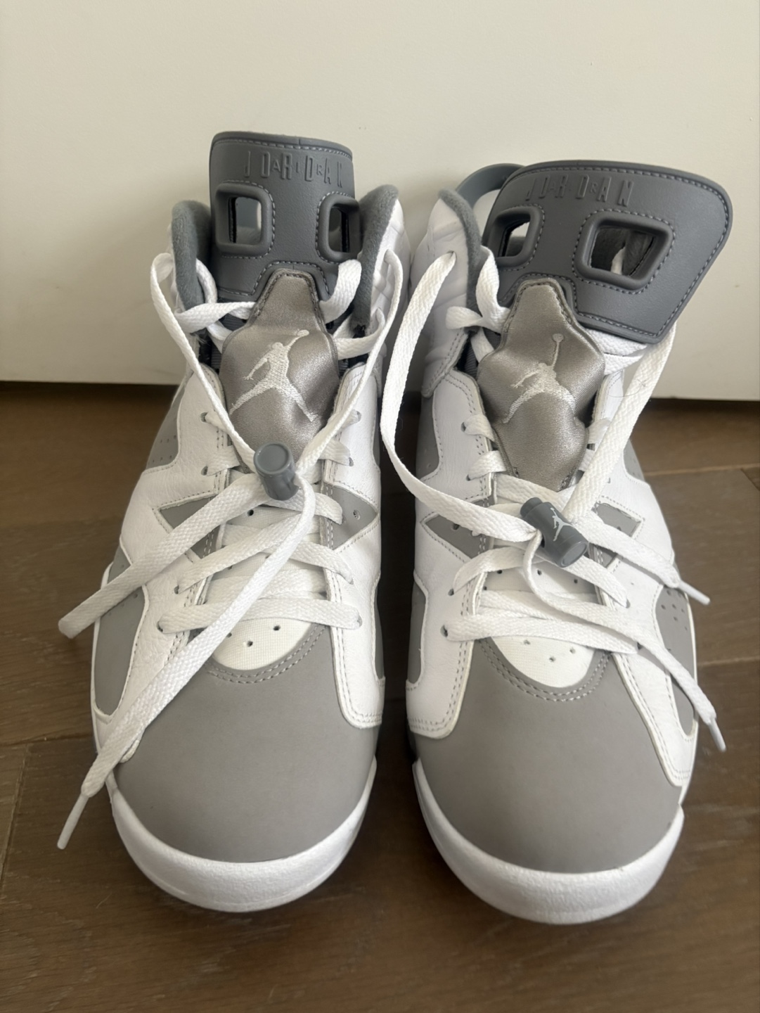 Air Jordan 6 Cool Gray M10