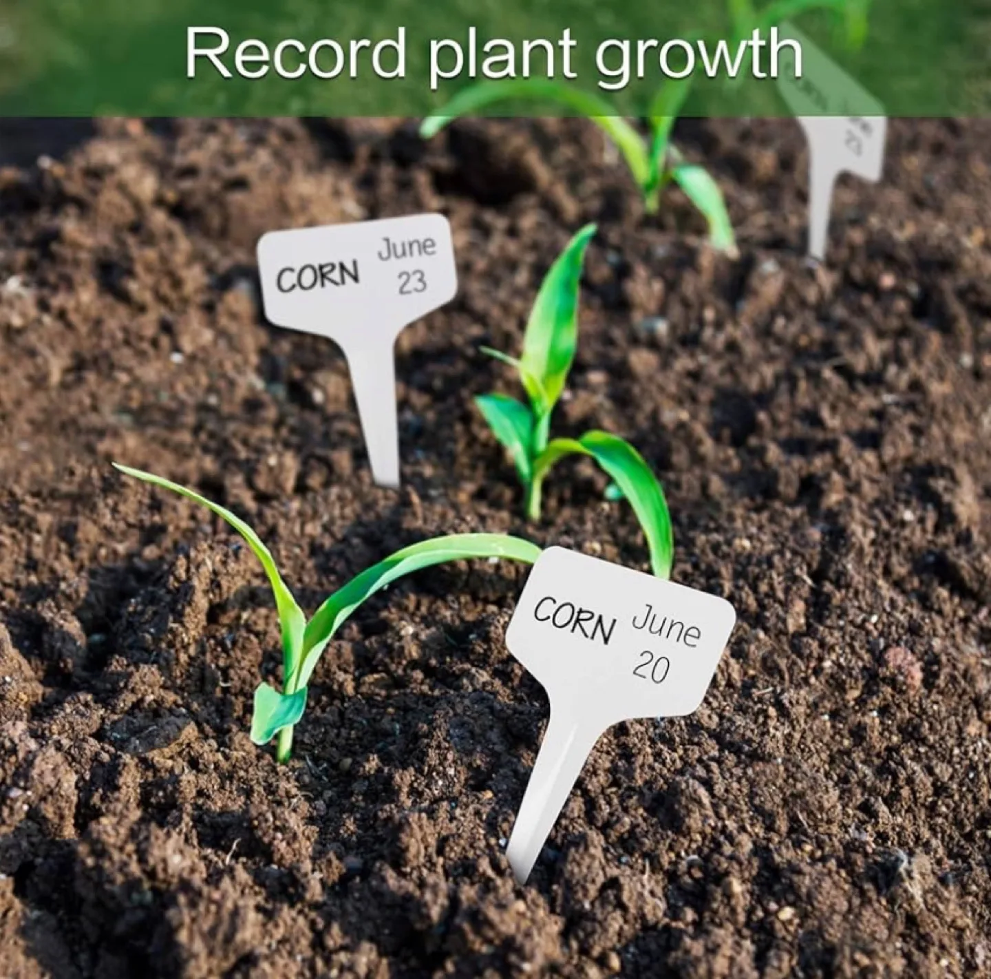 🪴 Brand New Expert Gardener 10 Reusable Garden Plant Labels image indicator(4)