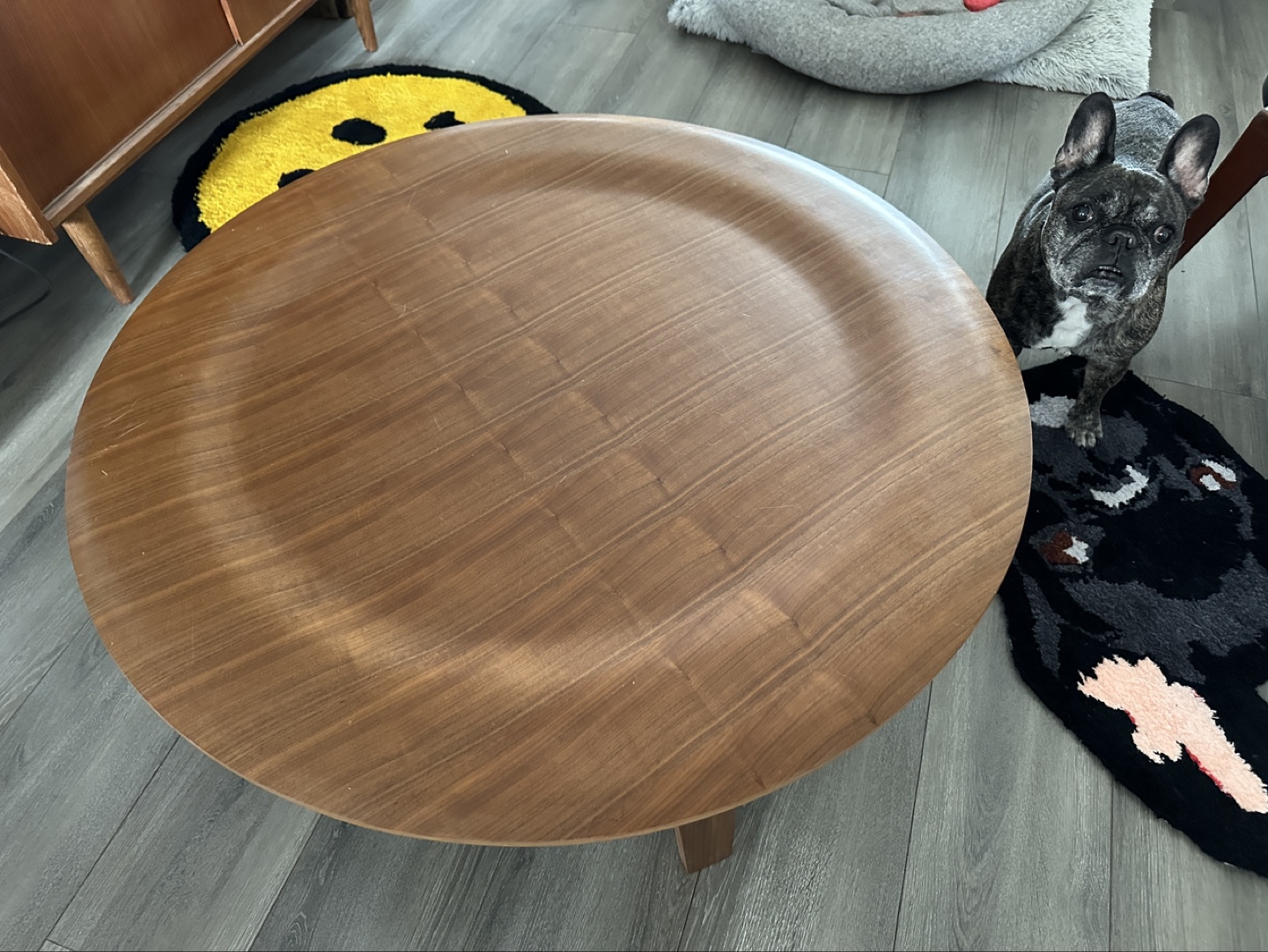 MCM duplicate of eames molded plywood coffee table.