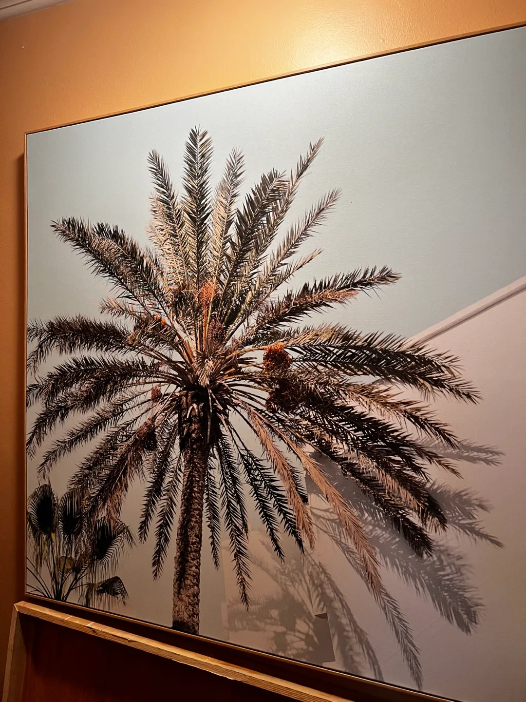 💚Large Palm Tree Canvas Wall Art image indicator(4)