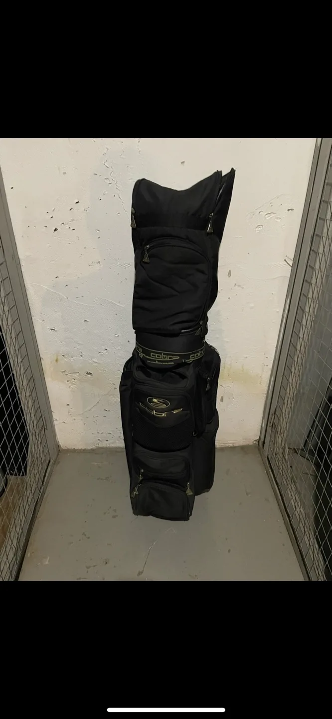 17 Golf Clubs Set with Bag and clubs included image indicator(2)