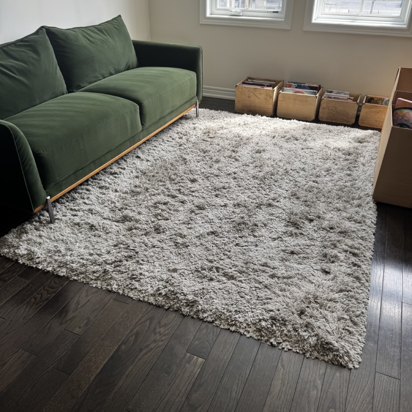 6’ x 8’ Shag Rug