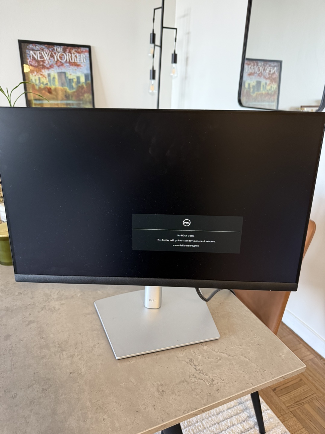 Dell 19 inch Monitor
