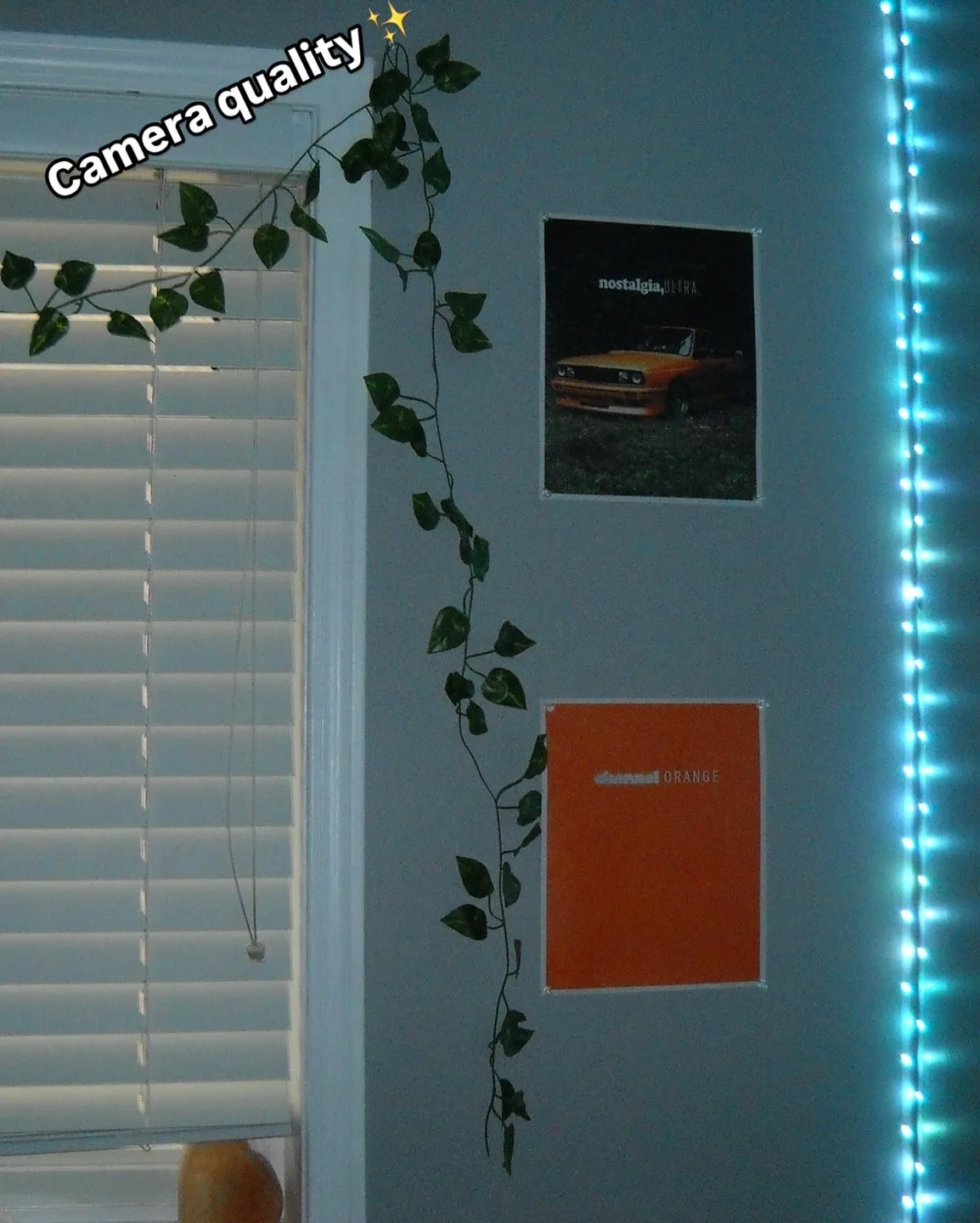 Nikon Coolpix Digital Camera image indicator(4)