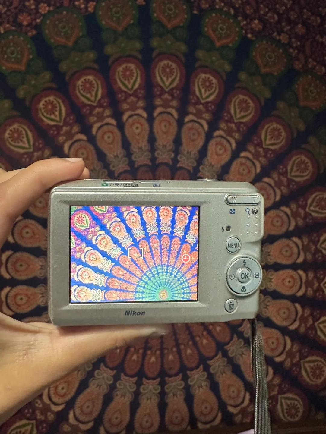 Nikon Coolpix Digital Camera image indicator(3)