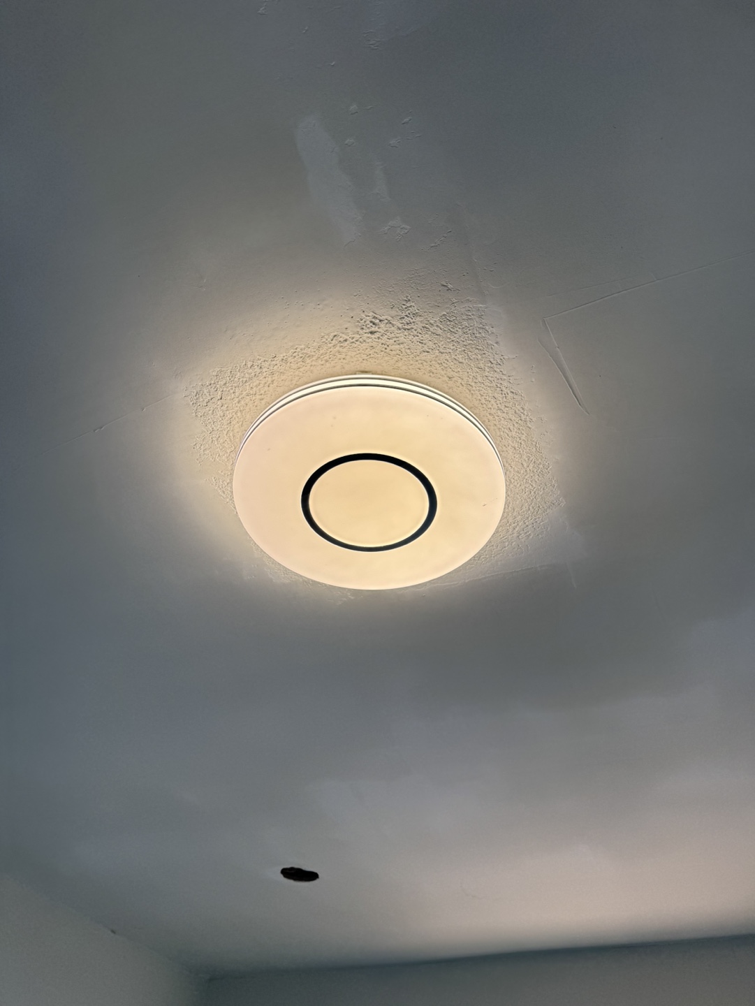 Modern Flush Mount Ceiling Light Fixture