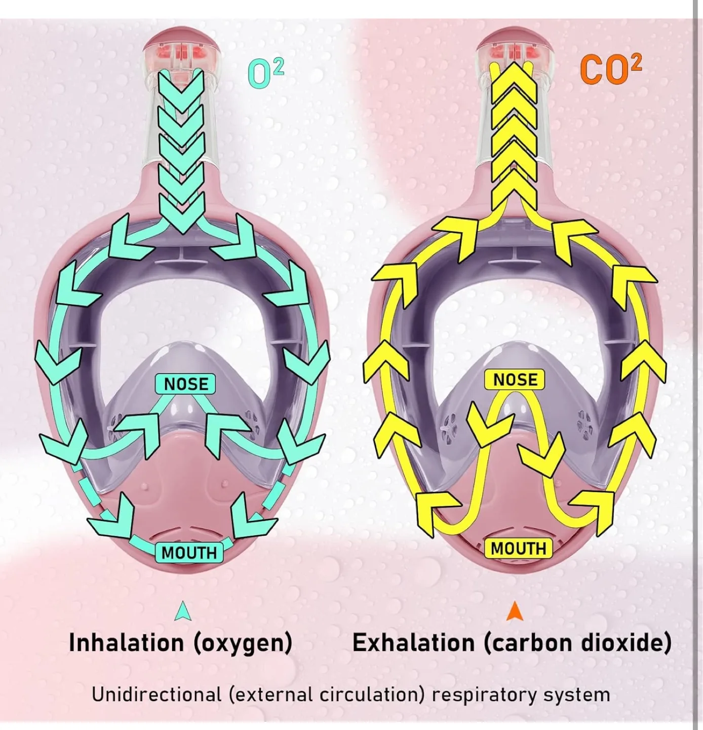 New Full Face Snorkel Mask - Pink - Foldable & Easy Storage image indicator(3)